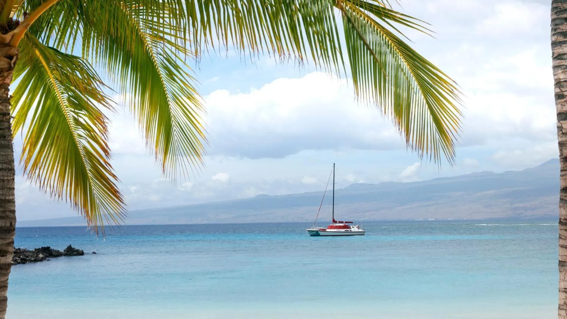 House Of Manta Light And Airy Access To Private Beach Club Waikoloa United States