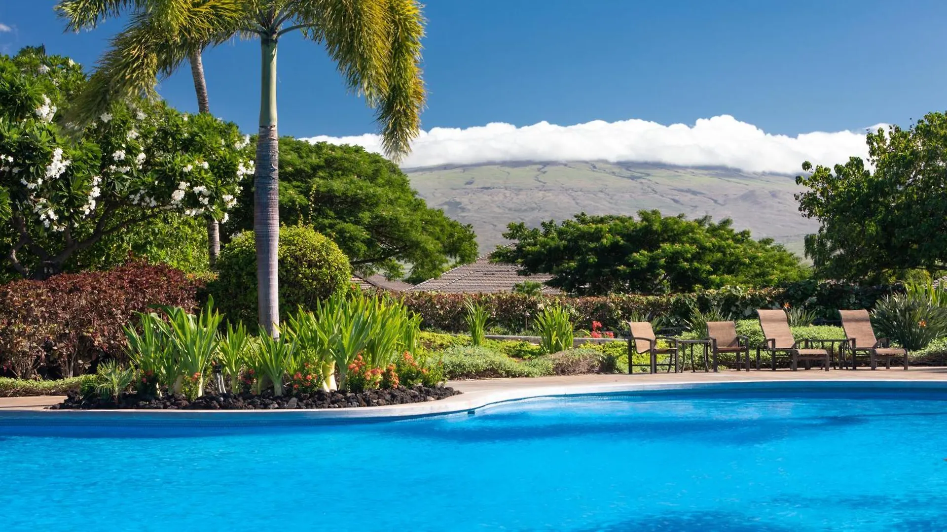 Casa vacanze House Of Manta Light And Airy Access To Private Beach Club Waikoloa